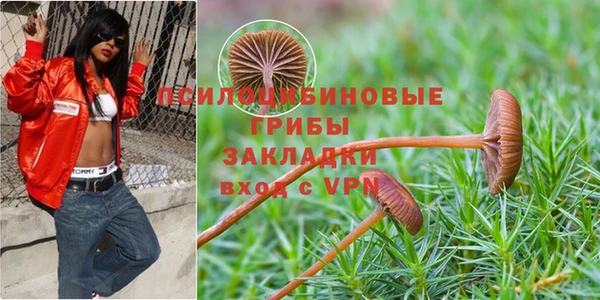 мдма Новокубанск