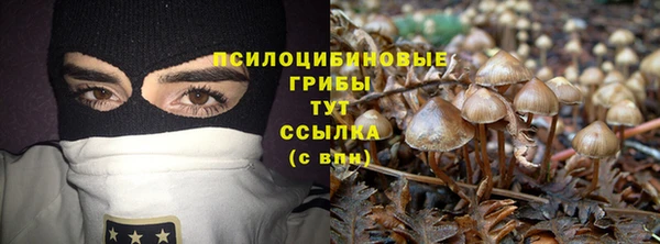 прущая мука Новозыбков