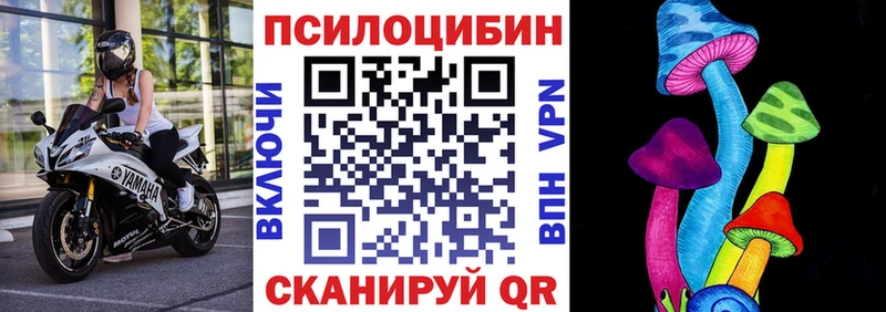 купить закладку  Тверь  Галлюциногенные грибы мухоморы 