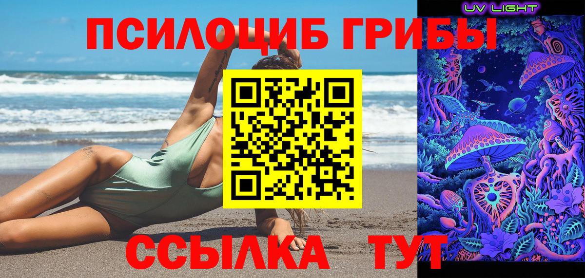 Галлюциногенные грибы MAGIC MUSHROOMS Тверь